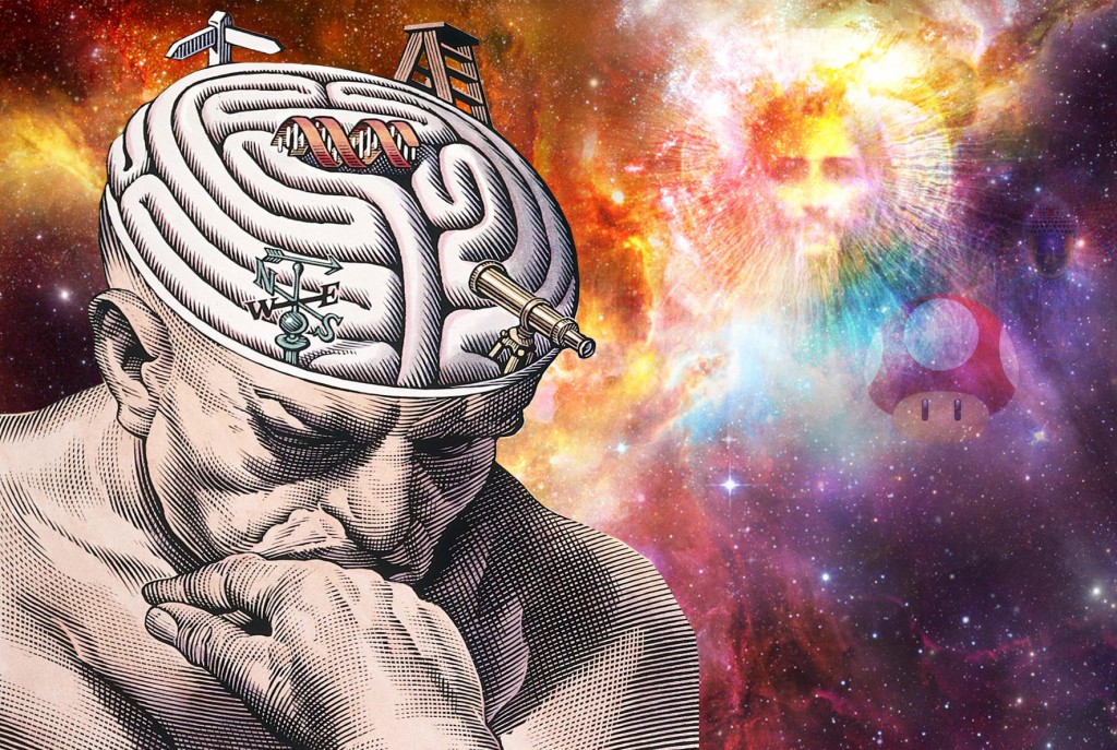 L0027293 The gyri of the thinker's brain as a maze of choices in biom